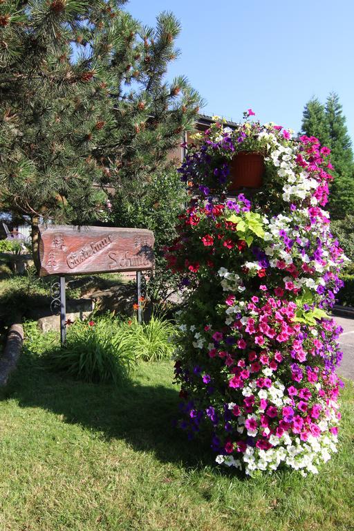 Gaestehaus Schmid-Lopez Bad Wildbad Bagian luar foto