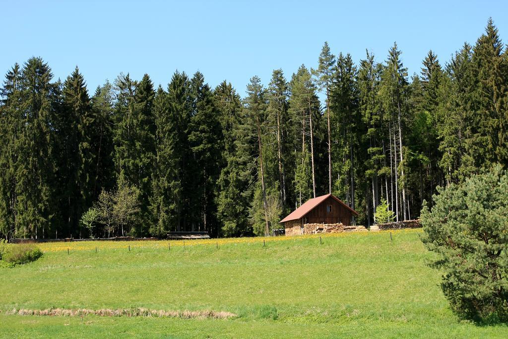 Gaestehaus Schmid-Lopez Bad Wildbad Bagian luar foto