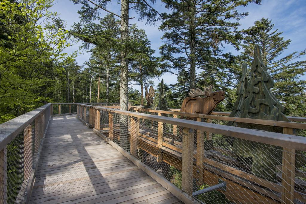 Gaestehaus Schmid-Lopez Bad Wildbad Bagian luar foto